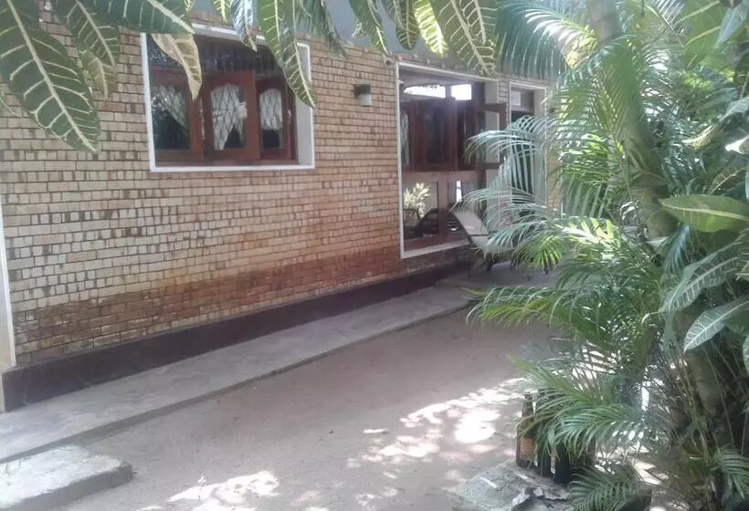 Hikka Beach Monkey Hostel
