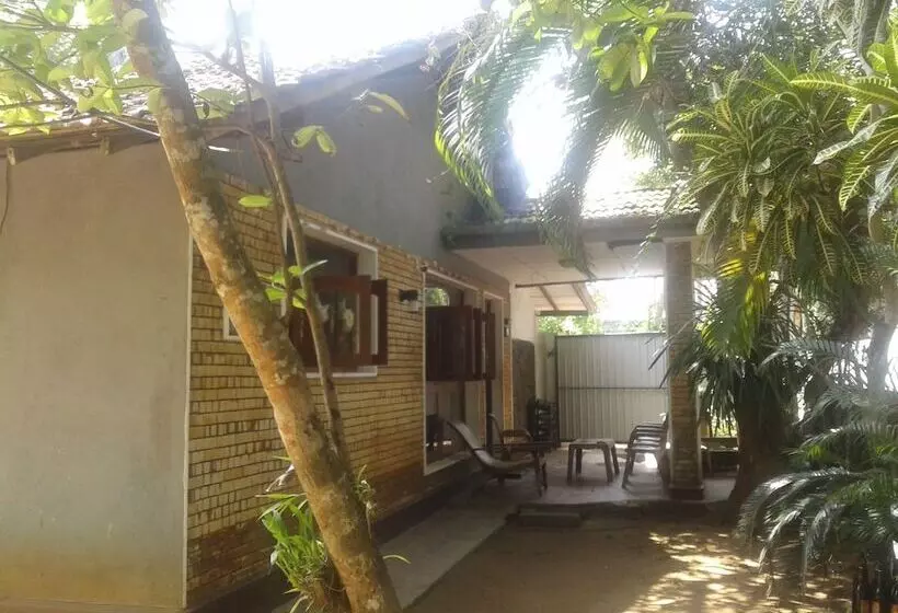 Hikka Beach Monkey Hostel