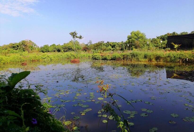 Отель Water Nest
