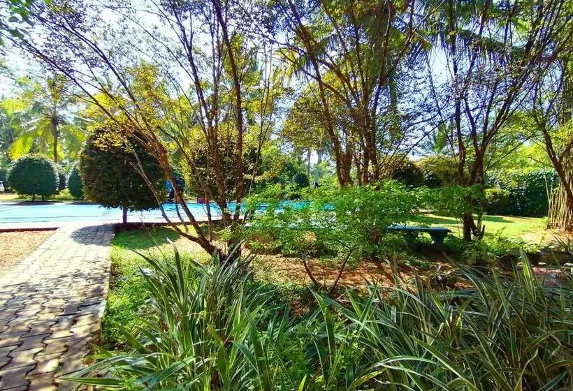 Hotelli Water Nest