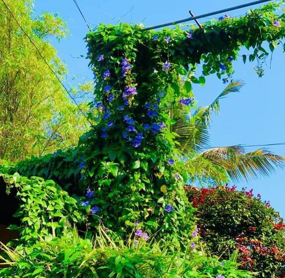 Отель Water Nest