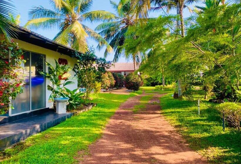 Отель Water Nest