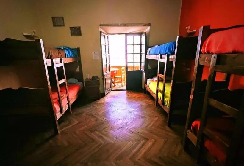 هاستل Colors House