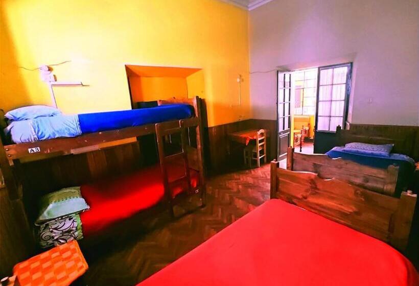 هاستل Colors House