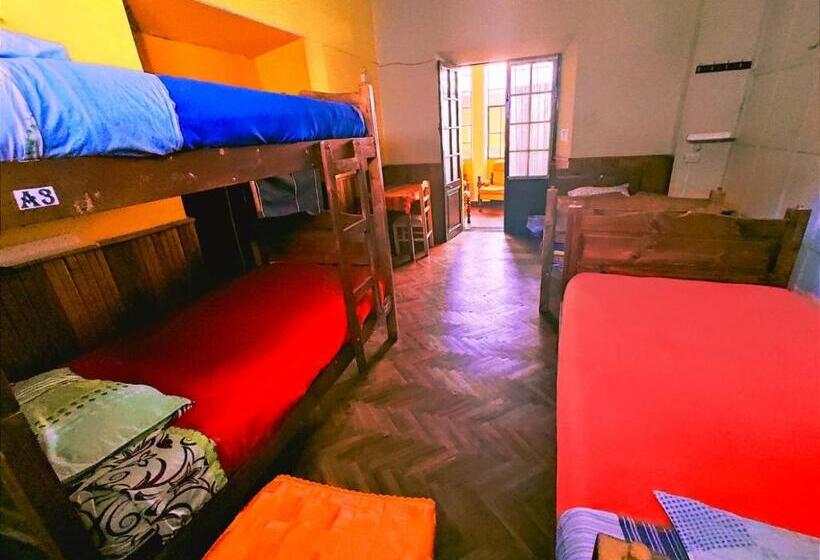 هاستل Colors House