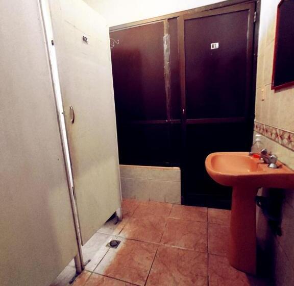 هاستل Colors House