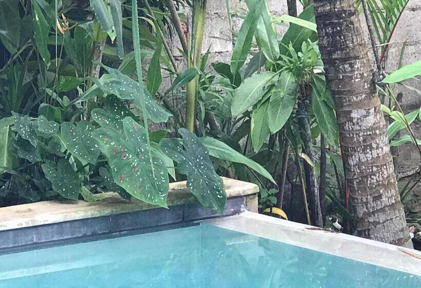 Bed and Breakfast Aurora