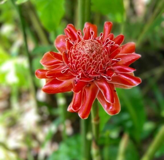 Bed and Breakfast Aurora