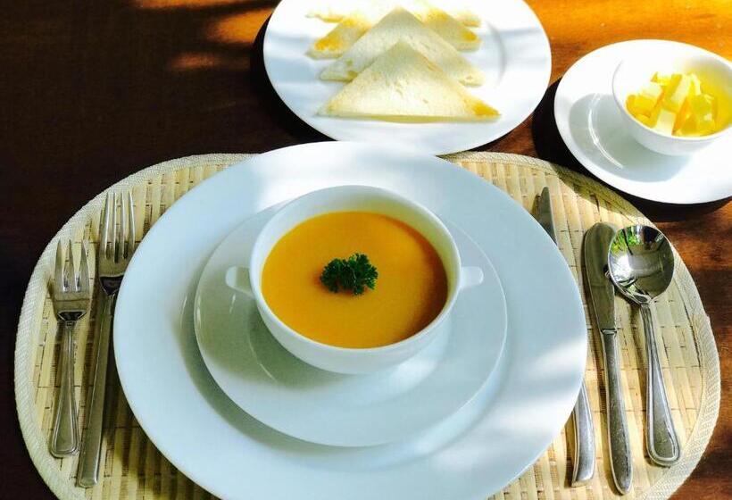 Bed and Breakfast Aurora