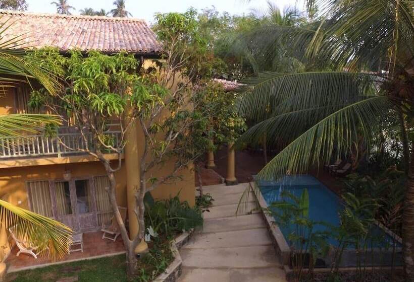 Bed and Breakfast Aurora