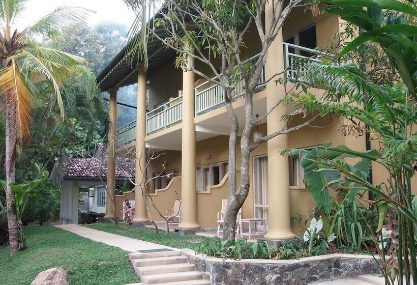 Bed and Breakfast Aurora