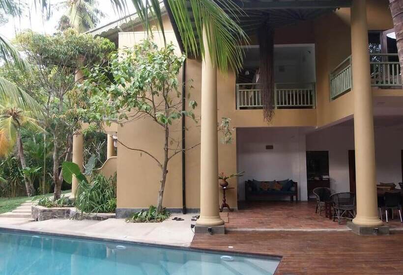 Bed and Breakfast Aurora