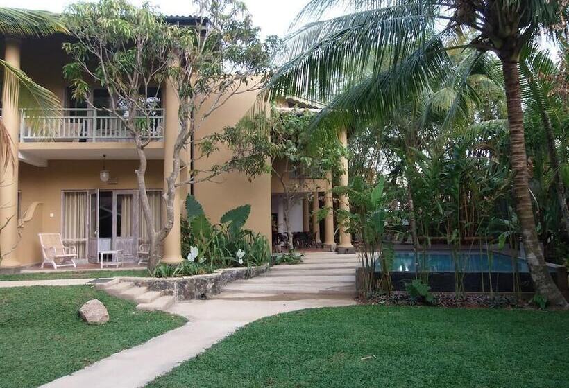 Bed and Breakfast Aurora