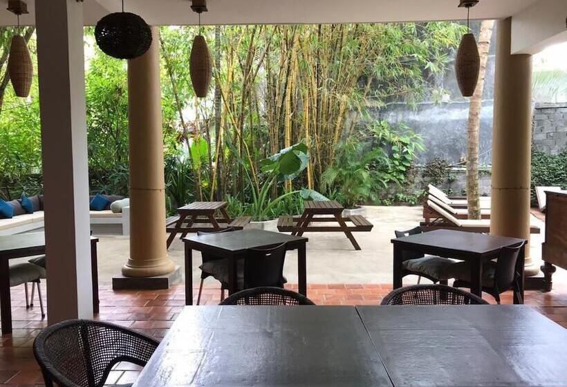 Bed and Breakfast Aurora