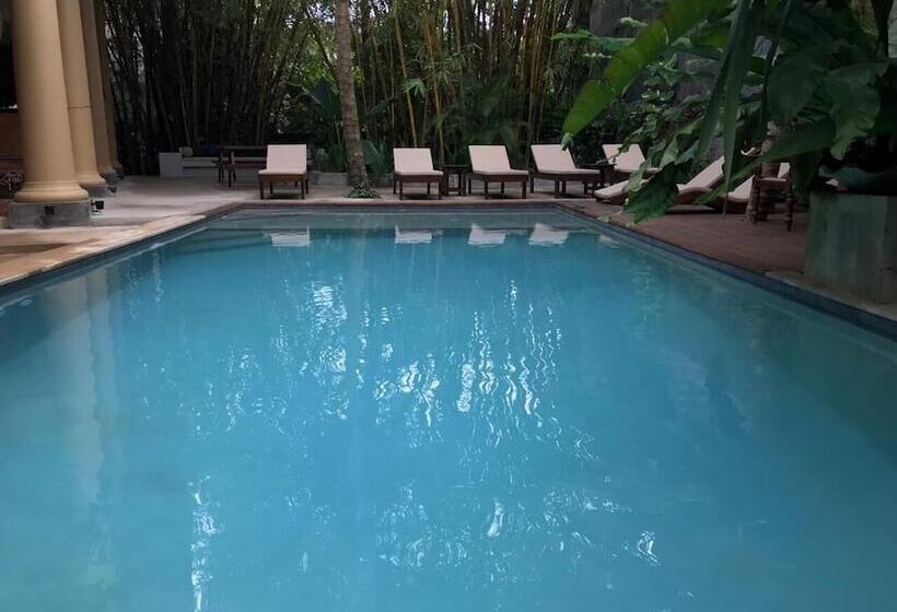 Bed and Breakfast Aurora