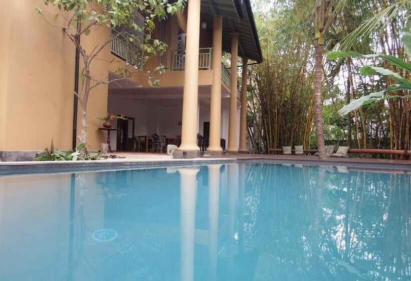 Bed and Breakfast Aurora