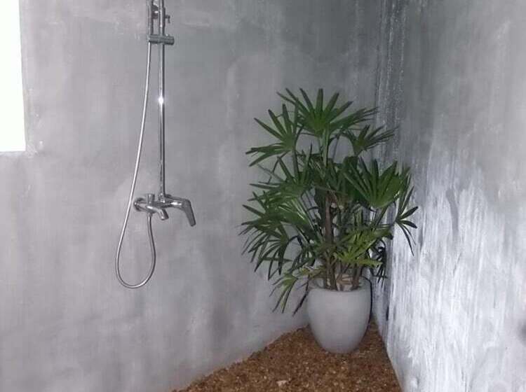 Bed and Breakfast Aurora