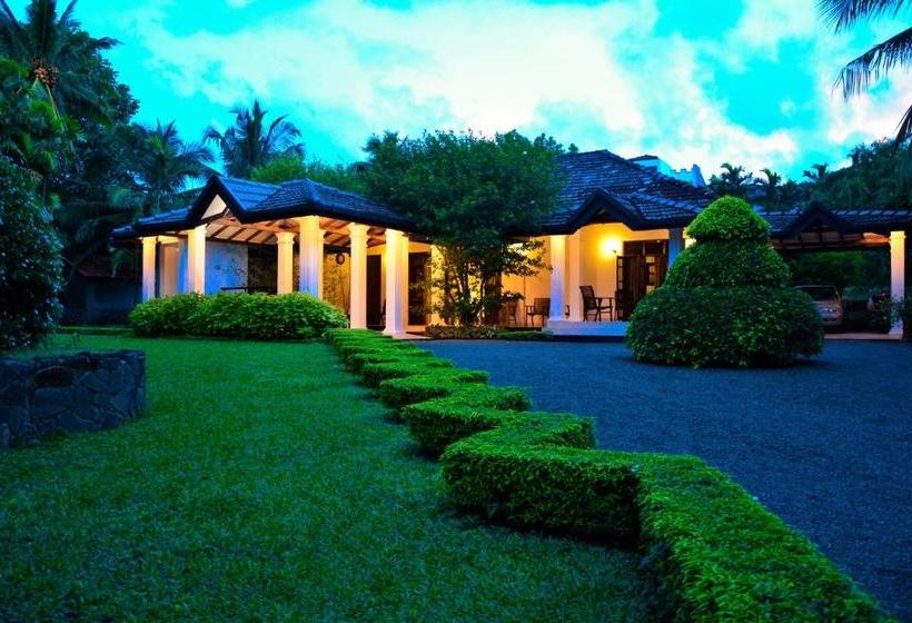 Bed and Breakfast Camellia Dwelling