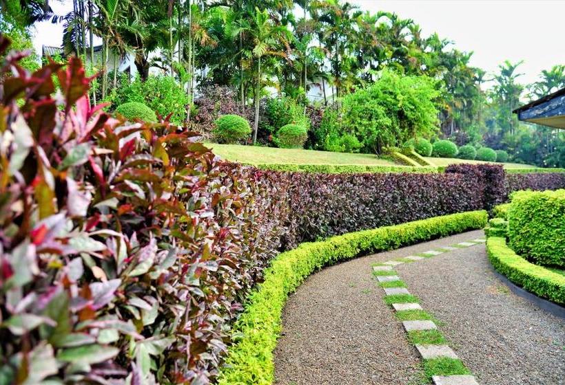 Bed and Breakfast Camellia Dwelling