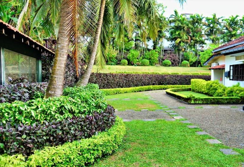 Bed and Breakfast Camellia Dwelling