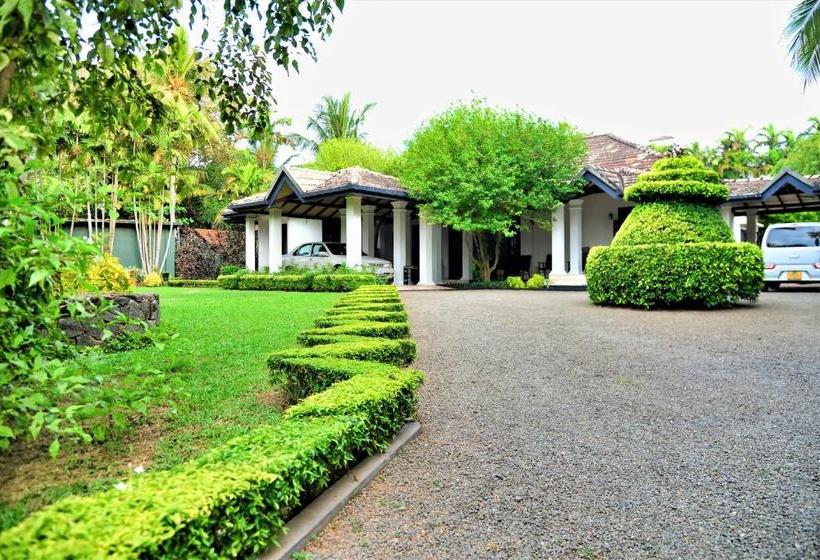 Bed and Breakfast Camellia Dwelling