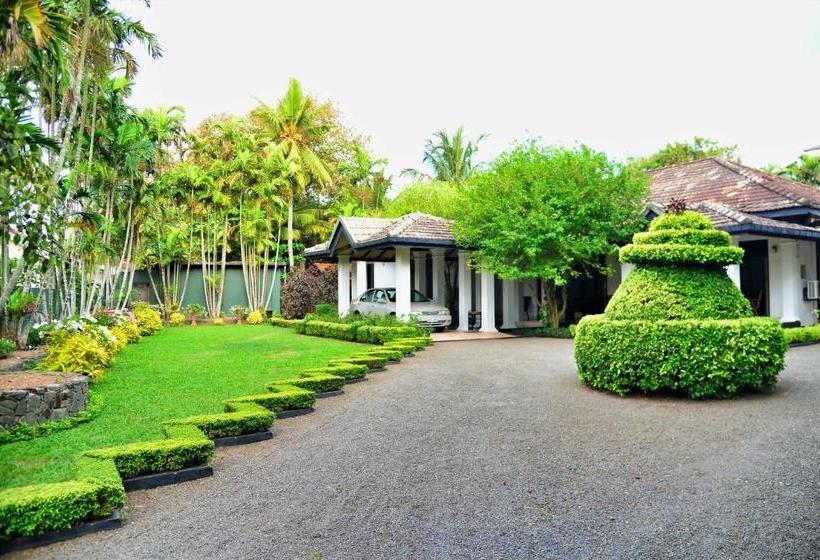 Bed and Breakfast Camellia Dwelling