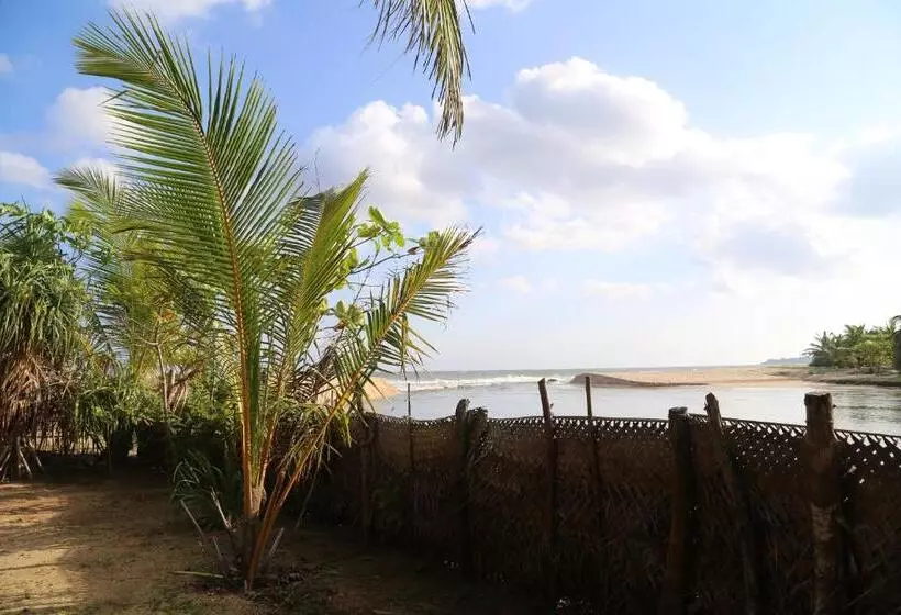ベッドアンドブレックファースト Lonely Beach Resort Tangalle