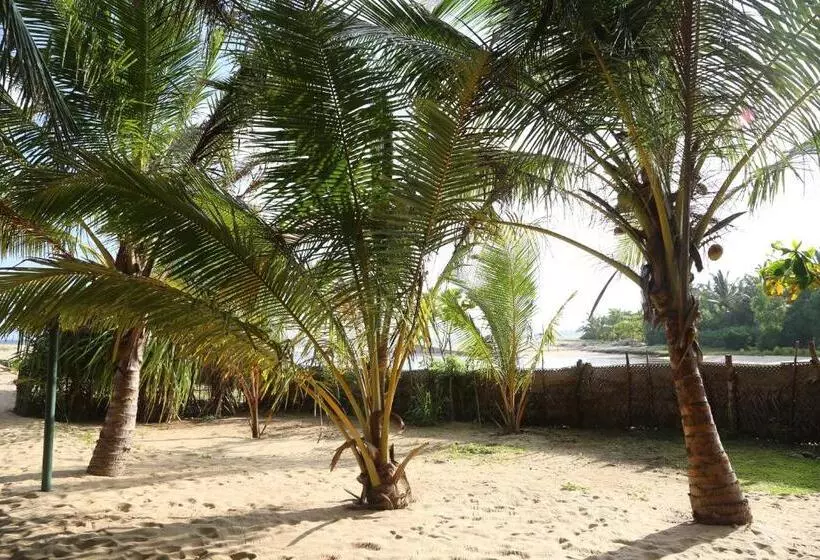 ベッドアンドブレックファースト Lonely Beach Resort Tangalle
