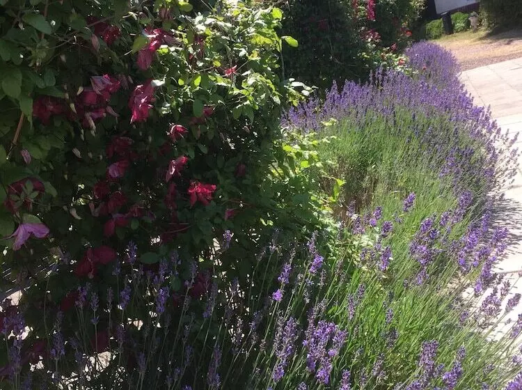 Borrby Frö B&b