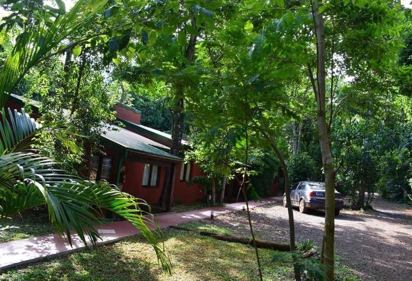 Cabañas Luces De La Selva