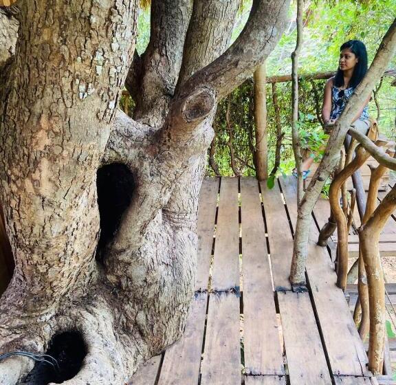 Habarana Tree House Ambasewana Resort