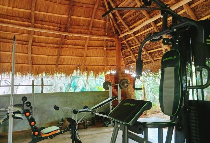 Habarana Tree House Ambasewana Resort