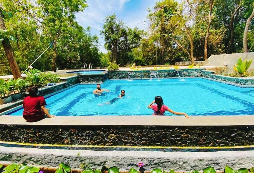 Habarana Tree House Ambasewana Resort