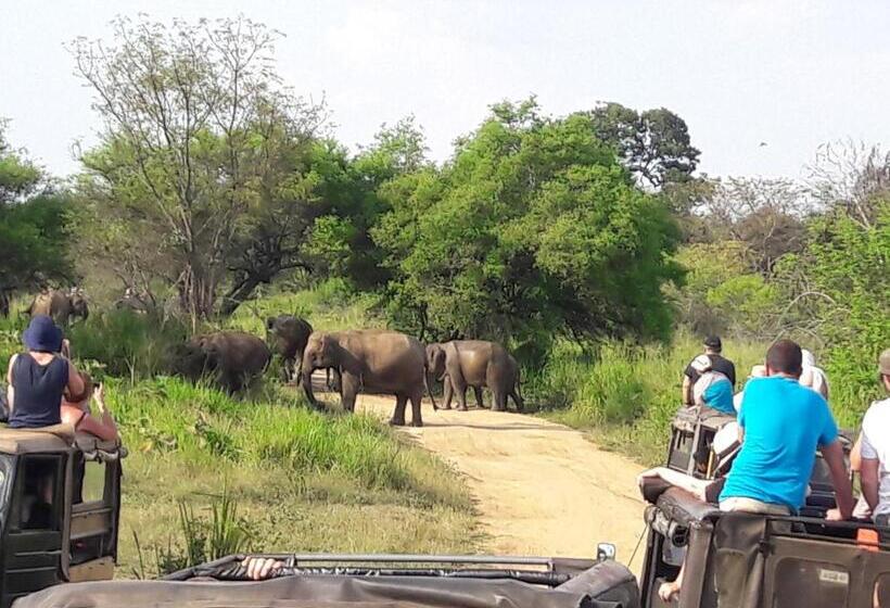 Habarana Tree House Ambasewana Resort