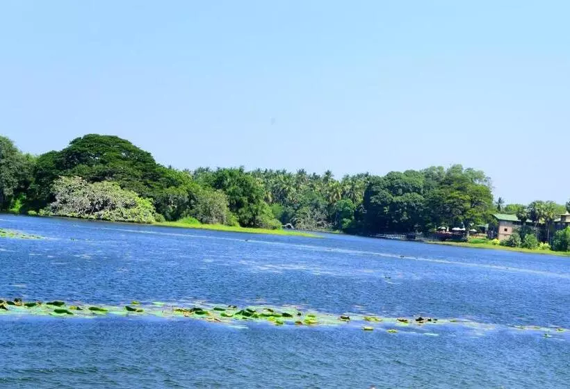 Hotelli Shine Park