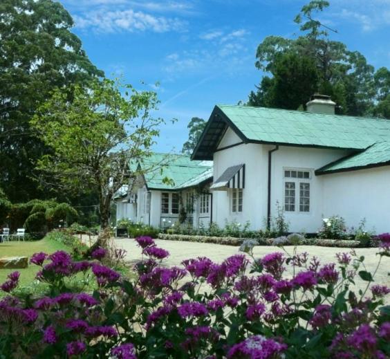 בית מלון כפרי The Trevene