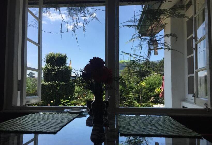 בית מלון כפרי The Trevene