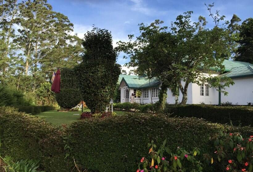 בית מלון כפרי The Trevene