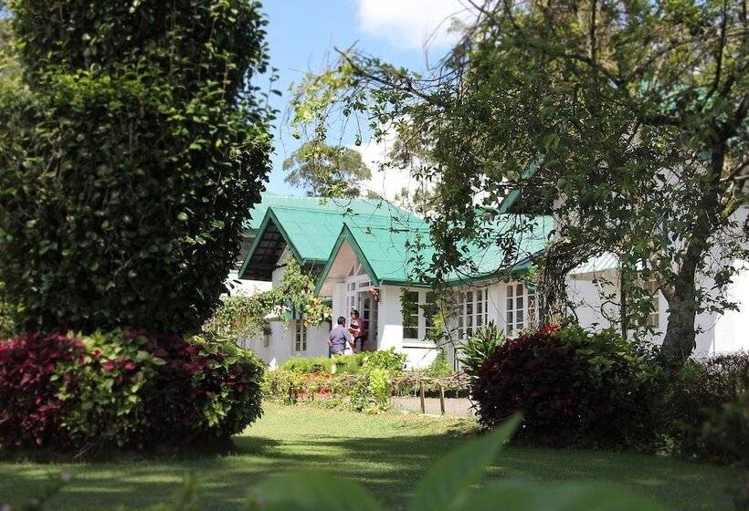 בית מלון כפרי The Trevene