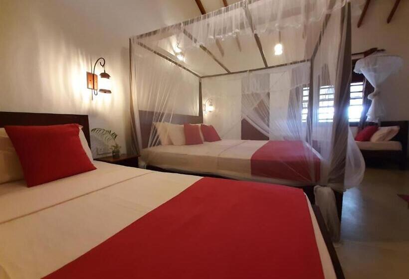 Szálloda Weligama Ocean Breeze