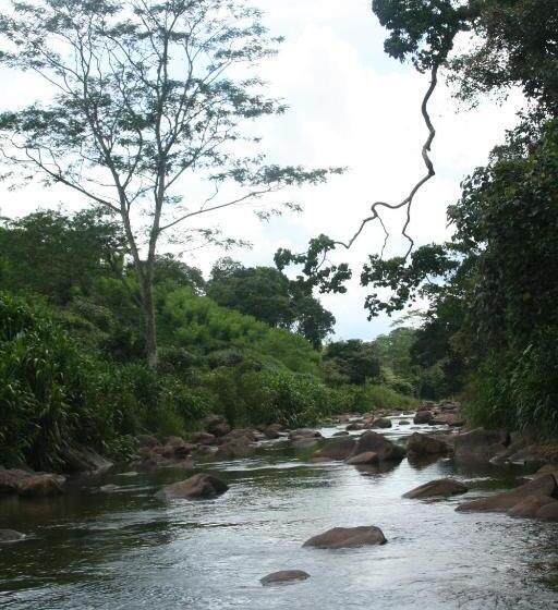 فندق على الطريق Deniyaya National Backpackers Hostel