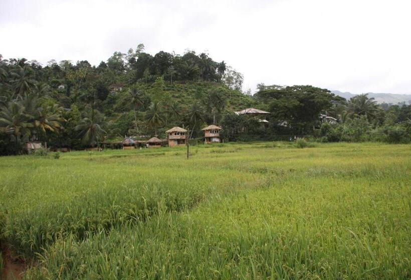 فندق على الطريق Deniyaya National Backpackers Hostel