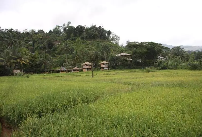 モーテル Deniyaya National Backpackers Hostel