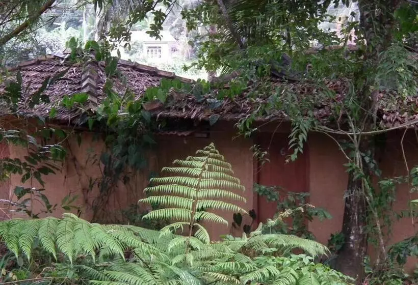 モーテル Deniyaya National Backpackers Hostel