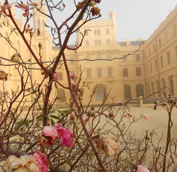 Zamecky Hotel Lednice