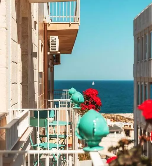 Fema B&b Housea Travel