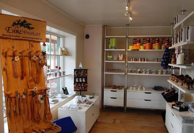 Bed and Breakfast Tynset Rom & Camping