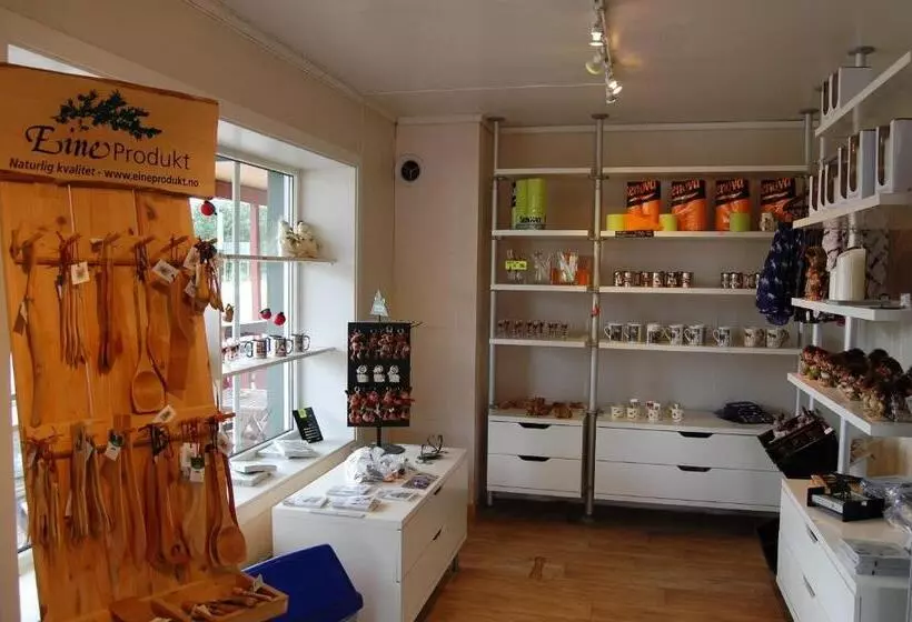 Bed & Breakfast Tynset Rom & Camping