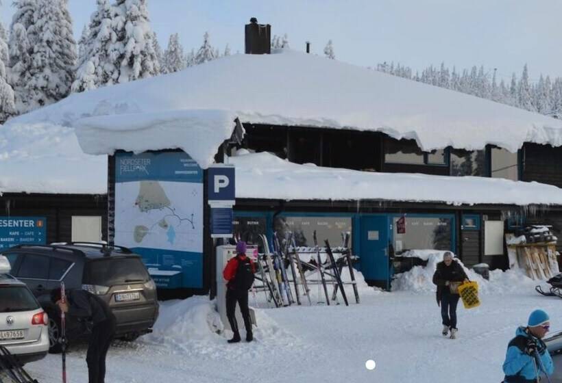 Hornsjø Høyfjellshotell