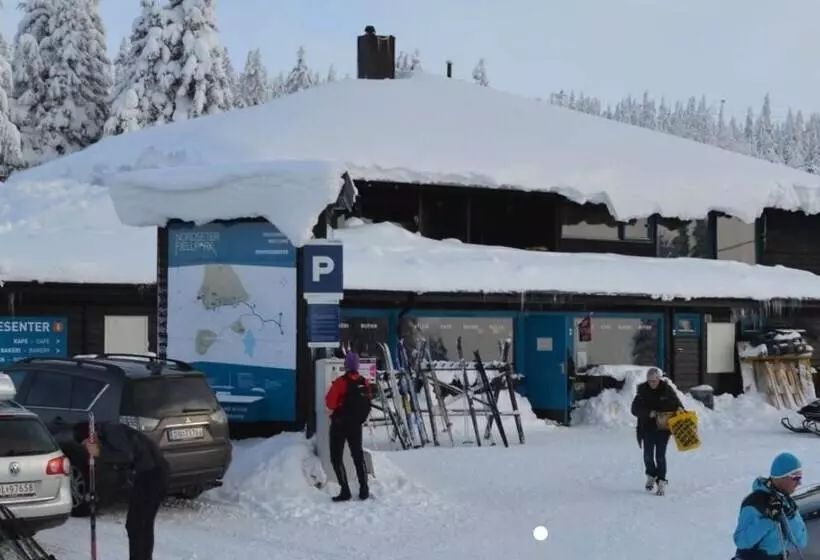 Hornsjø Høyfjellshotell